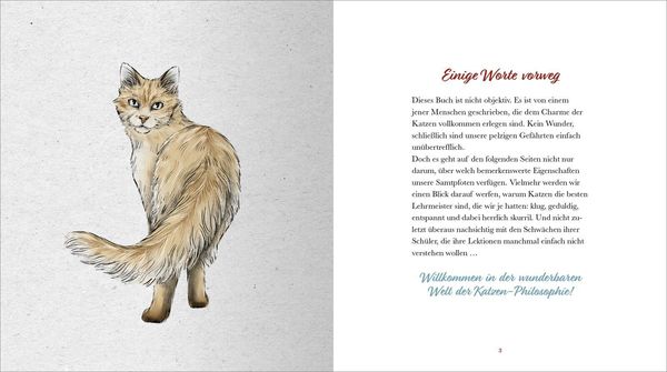 Produktbild: Kleine Katzenphilosophie