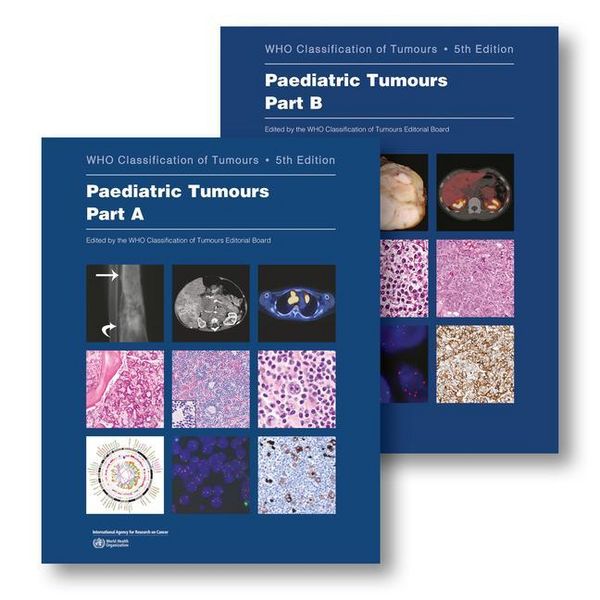 Produktbild: Paediatric Tumours