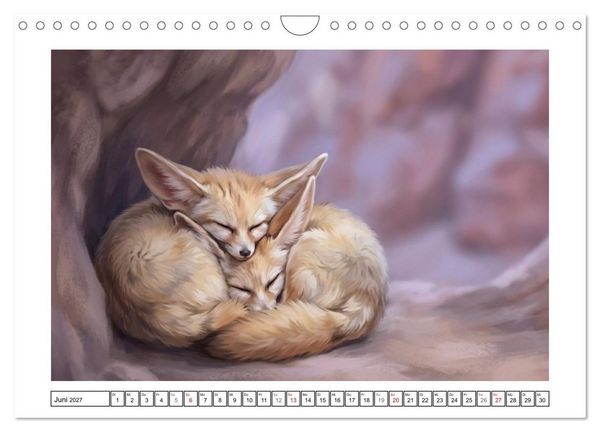 Produktbild: Fenneks - Neugierige Momente in der W&uuml;ste (Wandkalender 2027 DIN A4 quer), CALVENDO Monatskalender