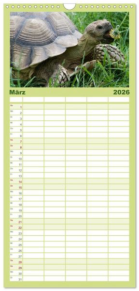 Produktbild: Familienplaner 2026 - Landschildkr&ouml;ten mit 5 Spalten (Wandkalender, 21 x 45 cm) CALVENDO