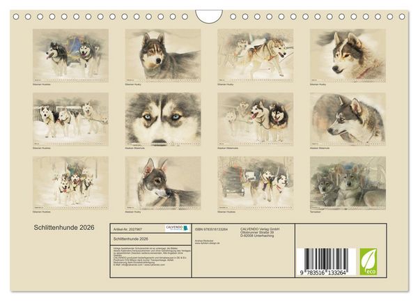 Produktbild: Schlittenhunde 2026 (Wandkalender 2026 DIN A4 quer), CALVENDO Monatskalender