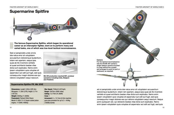 Produktbild: Fighter Aircraft of World War II