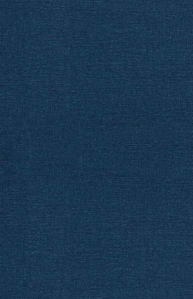 Produktbild: The Misadventures of Modern Relationships