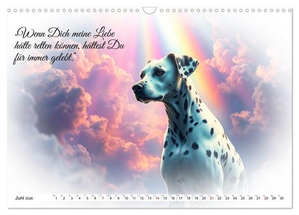 Produktbild: Hunde &uuml;ber der Regenbogenbr&uuml;cke (Wandkalender 2026 DIN A3 quer), CALVENDO Monatskalender