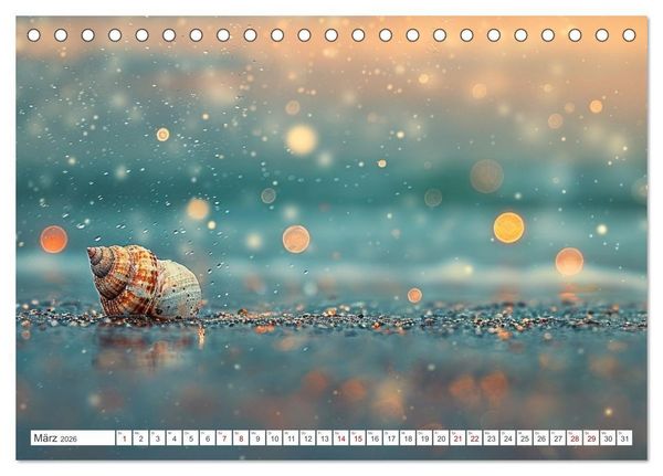 Produktbild: Sandgefl&uuml;ster und Muschelzauber (Tischkalender 2026 DIN A5 quer), CALVENDO Monatskalender