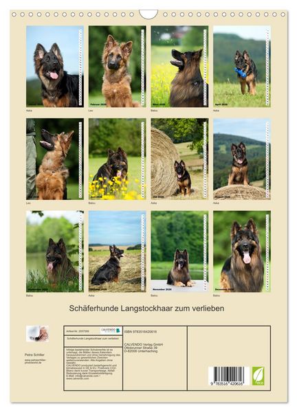 Produktbild: Sch&auml;ferhunde Langstockhaar zum verlieben (Wandkalender 2026 DIN A3 hoch), CALVENDO Monatskalender