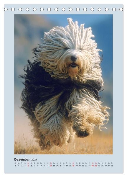 Produktbild: Dreadlocks auf Pfoten. Ungarische Hirtenhunde im Zottelfell (Tischkalender 2027 DIN A5 hoch), CALVENDO Monatskalender