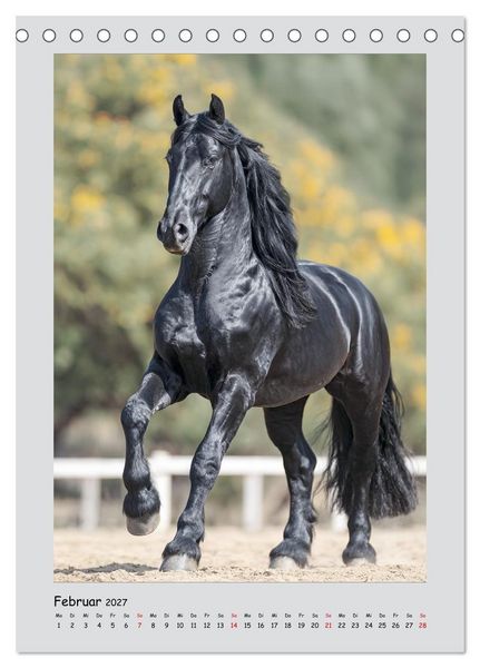 Produktbild: Friesenpferde. Schwarze Eleganz in der Natur (Tischkalender 2027 DIN A5 hoch), CALVENDO Monatskalender