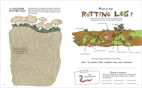 Produktbild: Julia Rothman's Nature Anatomy Activity Book