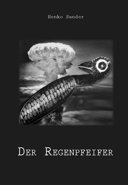 Produktbild: Der Regenpfeifer