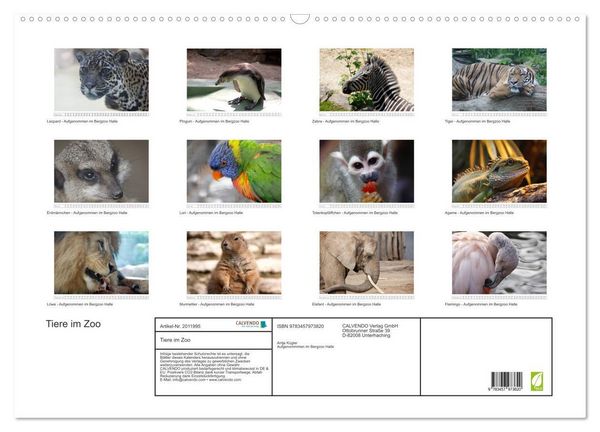 Produktbild: Tiere im Zoo (Wandkalender 2026 DIN A2 quer), CALVENDO Monatskalender