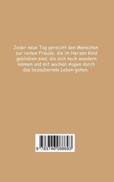 Produktbild: Wie sieht Frieden von innen aus?