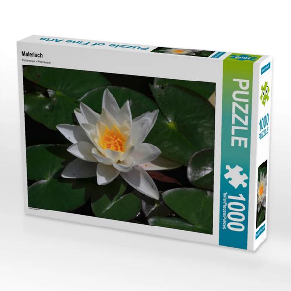 CALVENDO Puzzle Malerisch | 1000 Teile Lege-Größe 64x48cm Foto-Puzzle für glückliche Stunden