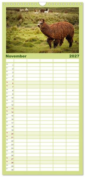 Produktbild: Familienplaner 2027 - Unter Lamas und Alpakas mit 5 Spalten (Wandkalender, 21 x 45 cm) CALVENDO