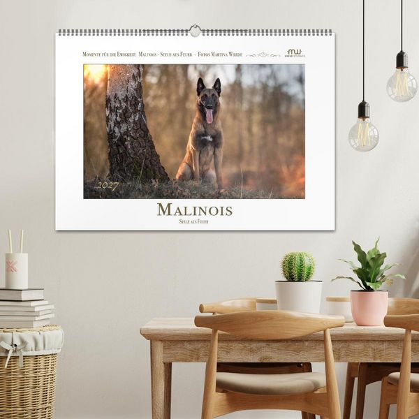 Produktbild: Malinois - Seelen aus Feuer (Wandkalender 2027 DIN A2 quer), CALVENDO Monatskalender