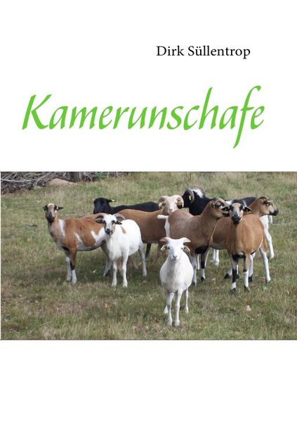Produktbild: Kamerunschafe