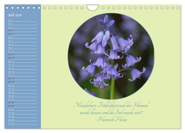 Produktbild: Flora in royalem Blau (Wandkalender 2026 DIN A4 quer), CALVENDO Monatskalender