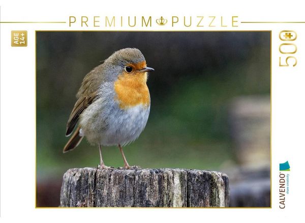 CALVENDO Puzzle Rotkehlchen | 500 Teile Lege-Größe 48 × 36 cm Foto-Puzzle für Erwachsene