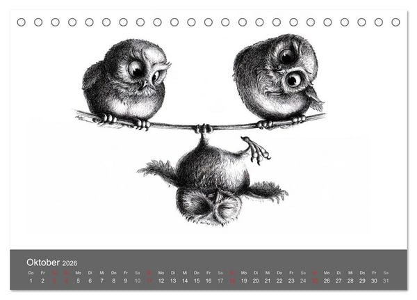 Produktbild: owls & friends 2026 (Tischkalender 2026 DIN A5 quer), CALVENDO Monatskalender