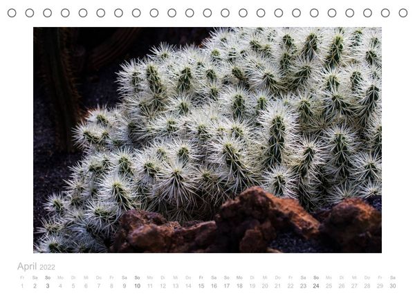Produktbild: Asche unter den F&uuml;&szlig;en - Lanzarote (Tischkalender 2022 DIN A5 quer)