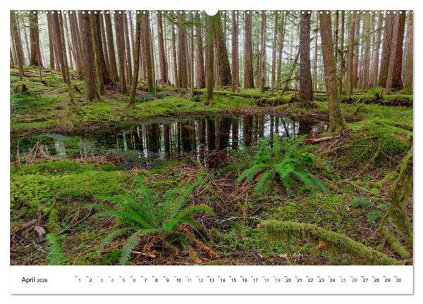Produktbild: The Olympic National Park - Washington USA (hochwertiger Premium Wandkalender 2026 DIN A2 quer), Kunstdruck in Hochglanz