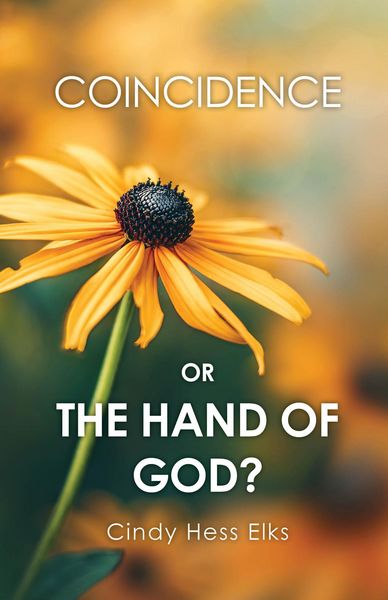 Produktbild: Coincidence or the Hand of God?