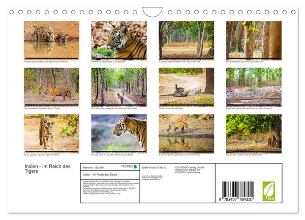 Produktbild: Indien - Im Reich des Tigers (Wandkalender 2026 DIN A4 quer), CALVENDO Monatskalender