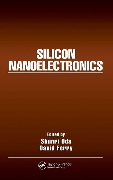 Produktbild: Silicon Nanoelectronics