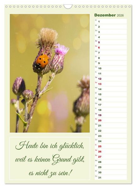 Produktbild: Marienk&auml;fer, Gl&uuml;cksbringer mit sieben Punkten (Wandkalender 2026 DIN A3 hoch), CALVENDO Monatskalender