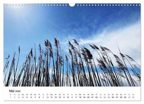 Produktbild: Borkum - Wo die Zeit still steht. (Wandkalender 2026 DIN A3 quer), CALVENDO Monatskalender