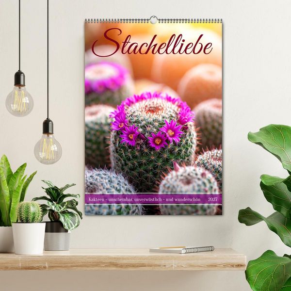 Produktbild: Stachelliebe (Wandkalender 2027 DIN A2 hoch), CALVENDO Monatskalender