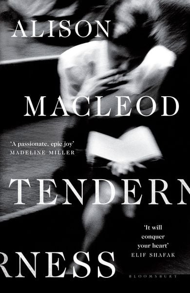 Produktbild: Alison MacLeod, M: Tenderness