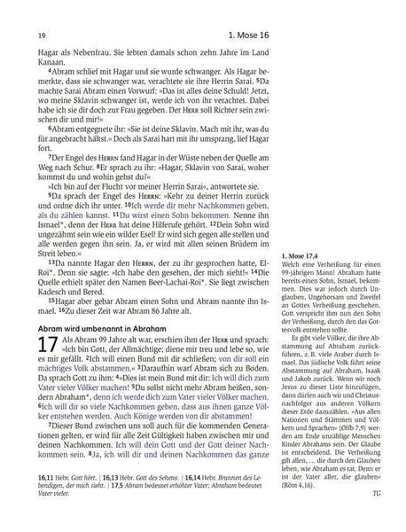 Produktbild: Das Buch der Versprechen