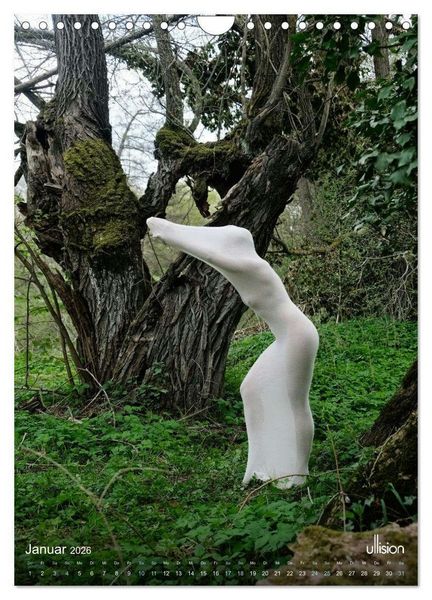 Produktbild: PIPPA CRASH - Metamorphose (Wandkalender 2026 DIN A4 hoch), CALVENDO Monatskalender