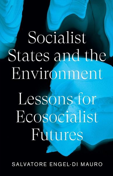 Produktbild: Socialist States and the Environment