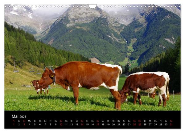 Produktbild: S&uuml;dtirol 2026 (Wandkalender 2026 DIN A3 quer), CALVENDO Monatskalender