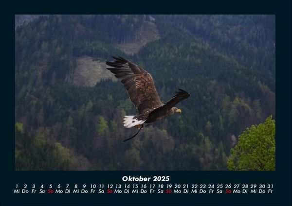 Produktbild: Adler 2025 Fotokalender DIN A4