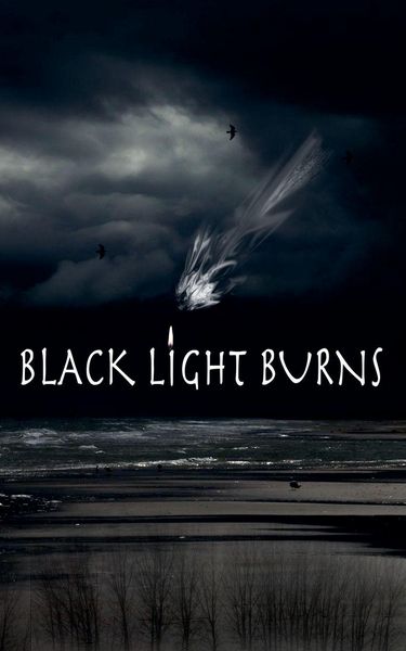 Produktbild: Black Light Burns