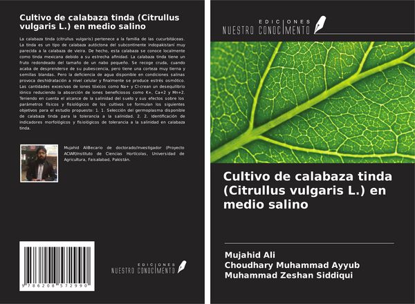 Produktbild: Cultivo de calabaza tinda (Citrullus vulgaris L.) en medio salino