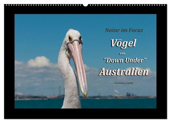 Produktbild: V&ouml;gel von "Down Under" Australien (Wandkalender 2026 DIN A2 quer), CALVENDO Monatskalender