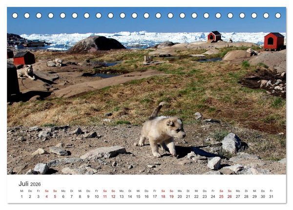 Produktbild: Gr&ouml;nland Bizarre Eiswelt um Ilulissat (Tischkalender 2026 DIN A5 quer), CALVENDO Monatskalender