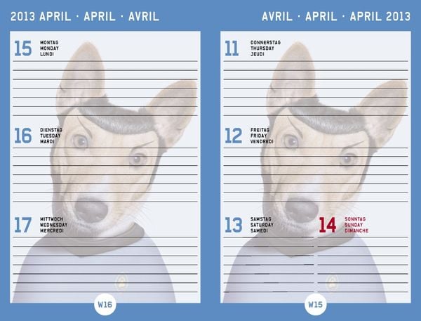Produktbild: Pets Rock, Sch&uuml;lerkalender 2012/2013