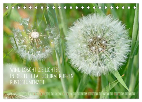 Produktbild: Haiku Poesie in Wort und Bild (Tischkalender 2026 DIN A5 quer), CALVENDO Monatskalender