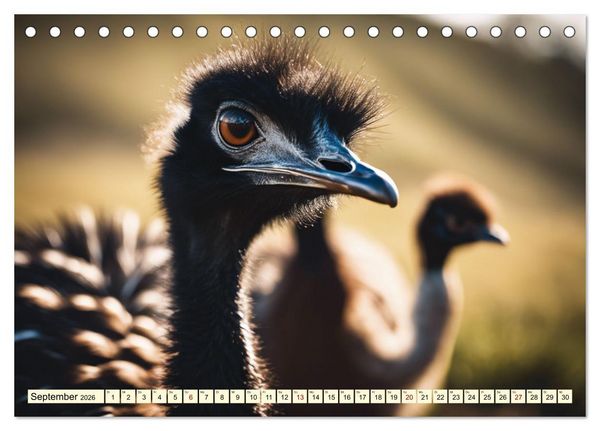 Produktbild: Australiens faszinierende Fauna (Tischkalender 2026 DIN A5 quer), CALVENDO Monatskalender