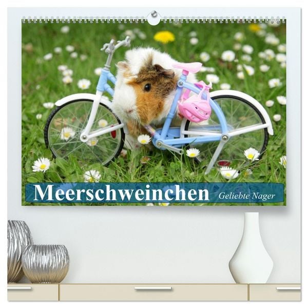 Produktbild: Meerschweinchen. Geliebte Nager (hochwertiger Premium Wandkalender 2026 DIN A2 quer), Kunstdruck in Hochglanz
