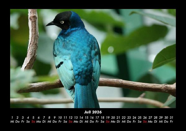 Produktbild: Vogelparadies 2026 Fotokalender DIN A3