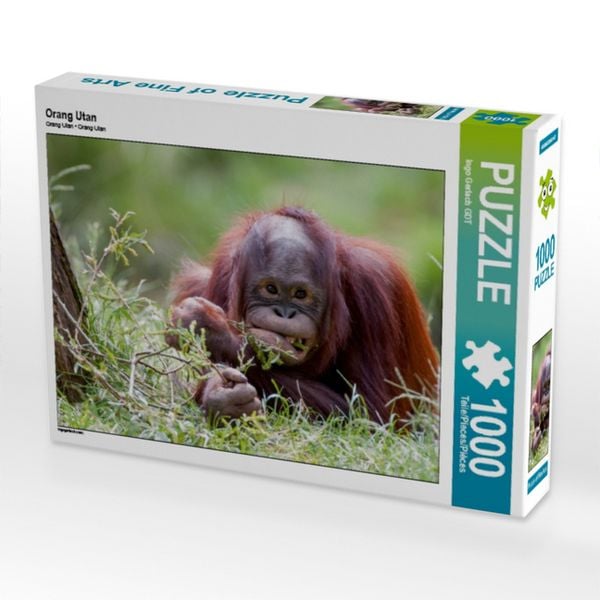CALVENDO Puzzle Orang Utan | 1000 Teile Lege-Größe 64x48cm Foto-Puzzle für glückliche Stunden