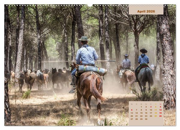 Produktbild: Pferde - Andalusiens wilder Westen (Wandkalender 2026 DIN A2 quer), CALVENDO Monatskalender