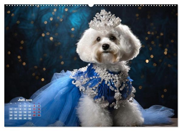 Produktbild: Kleine Hunde - Gro&szlig;e Diven (Wandkalender 2026 DIN A2 quer), CALVENDO Monatskalender