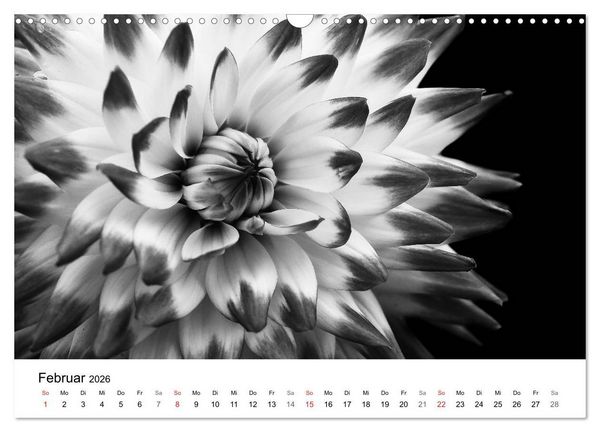 Produktbild: Blumen 2026, Schwarz-Wei&szlig; (Wandkalender 2026 DIN A3 quer), CALVENDO Monatskalender